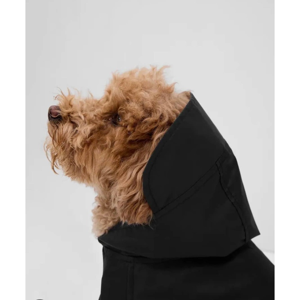 Gap Pet - Rain Jacket / True Black / Size XS / NWT